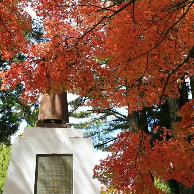 福壽山　楓紅