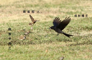 這一次，正不勝邪