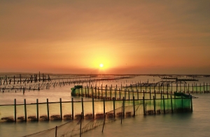 七股夕照