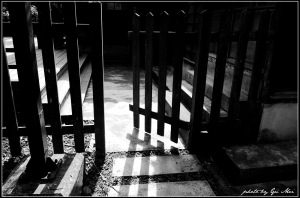 在黑白中與古老相遇