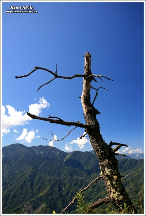 合歡山