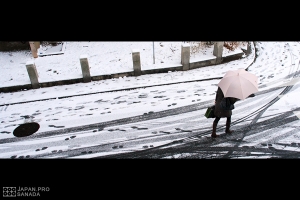 [分享] 京都街頭雪景 - 很冷的京都 很冷的一天 -