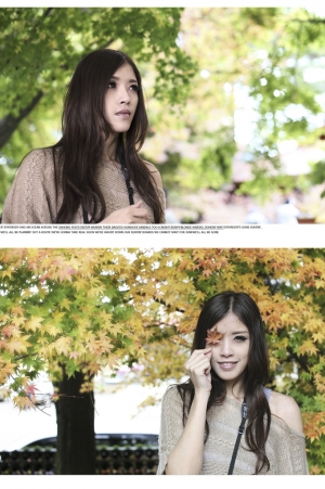 楓情 蕊 (請大家盡量毒舌)