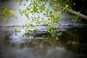 雨停