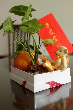 【一張流】祝大家新年快樂~