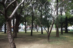 簡簡單單  台中市綠三公園