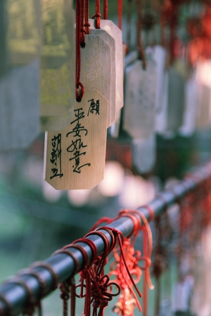 我好久沒貼圖之~糖廠隨拍...