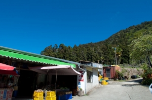 阿里山深度之旅