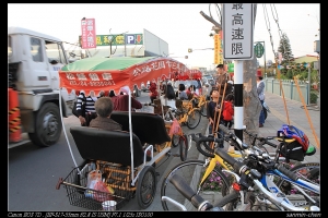 田尾公路花園(一棵上百萬的酒瓶蘭)