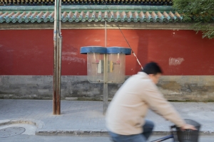 中國 2013