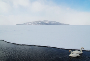 [北海道。雪景] - 令人驚豔的弟子屈..^^