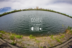 ::: NYC Under Fisheye 魚眼下的紐約 [八] by DV :::