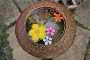 華陶窯
