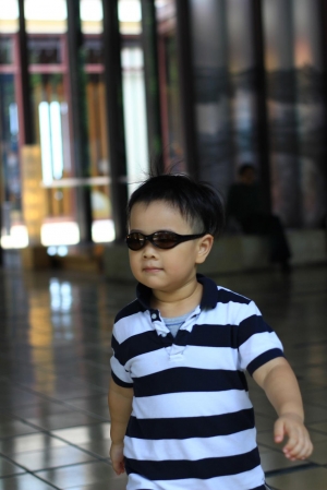 我最愛的MD