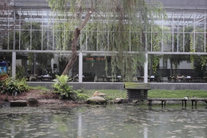 菁芳園 (單身之旅之二)