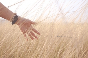 一个人玩乐在草丛中~Stella