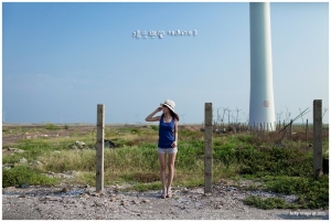 陽光與風&nbsp;&nbsp; 相遇的日子&nbsp;&nbsp;[LiLy]