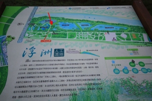 浮洲人工濕地