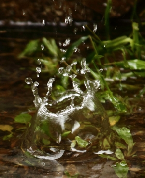水舞