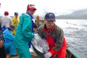 20110515 三仙台定置網鬼頭刀標識放流