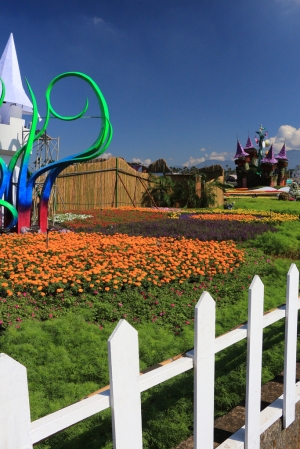 還沒開幕的2013新社花海