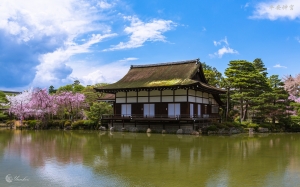 【日本．關西】花見之旅