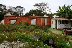 一樣的月光(龜山樂善村)