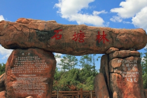 向北尋北［十二］— 阿爾山國家森林公園(石塘林、杜鵑湖)