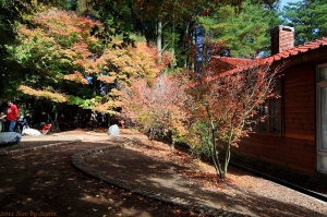 福壽山 合歡山