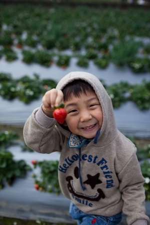 Justin_Photo Diary@ 蛇年走春趣~