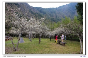 2014 初春梅山口