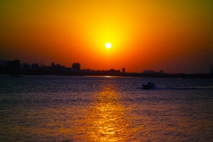 夕陽散步_2