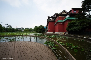 瞧~~植物園