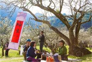 柳家梅園 踏雪尋梅