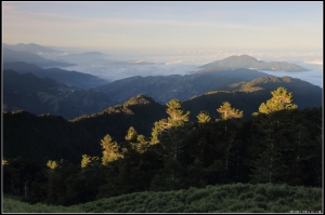 合歡山 曬麵線 三育書院 by 小彊