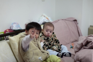 小小蟀哥1,2之我家大樓元宵猜燈謎