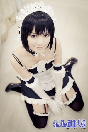 角色扮演-これが私の御主人樣