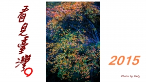 2015 CALENDAR by Eddy