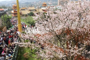 十萬分之ㄧ的稀釋活動--天圓宮0316--請指教--謝謝--