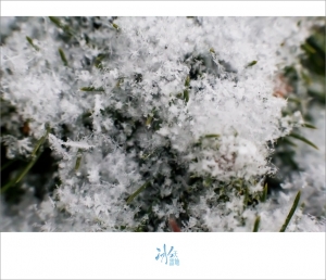 ::: Frozen Ground 冰天雪地[二] 雪花 by DV :::