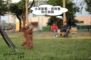 跳一段舞輕鬆一下吧(1P)