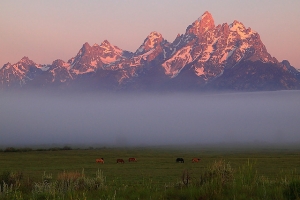 Grand Teton National Park (大提頓國家公園)
