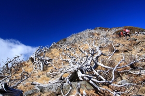 雪山