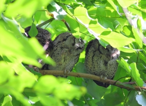 每次的植物園都給我大大的驚喜!!!