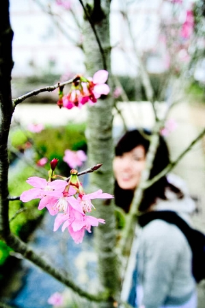 女王/花/狗/甜不辣...