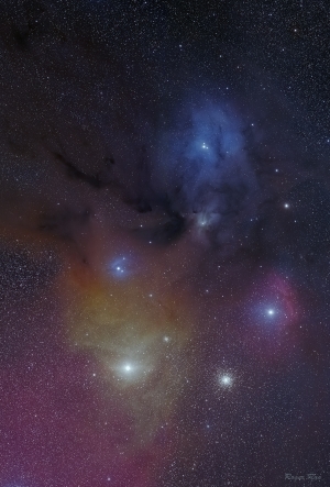 天蠍座的星空調色盤