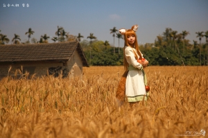 COSPLAY 狼與辛香料  赫蘿