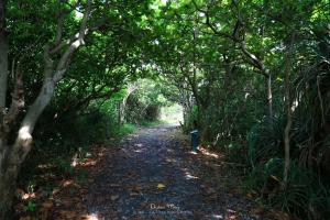 墾丁。龍坑保護區