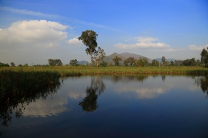 香港元朗南生圍
