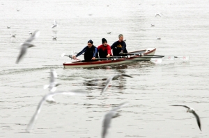 幾年前去德國,奧地利的相片